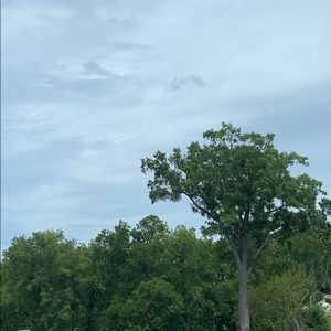 Meet your Posher, Katelyn